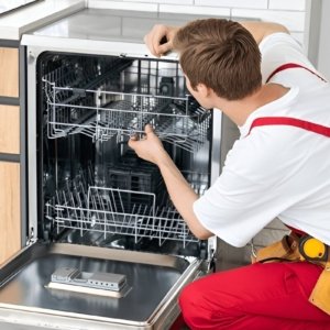 DishDrawer repair DishDrawer repair